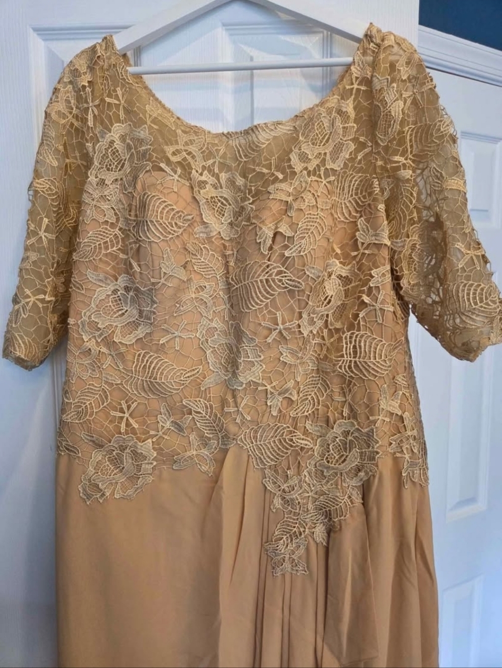 Elegant Lace Overlay Tea-Length Dress in Champagne